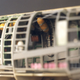 Illustration for article titled Gorgeous Model Aircraft Make you Realise Your Childhood was Wasted